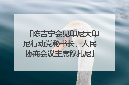 陈吉宁会见印尼大印尼行动党秘书长、人民协商会议主席穆扎尼