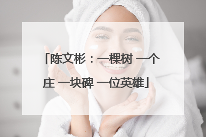 陈文彬：一棵树 一个庄 一块碑 一位英雄