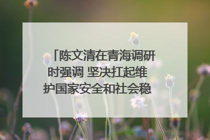 陈文清在青海调研时强调 坚决扛起维护国家安全和社会稳定职责使命 为谱写中国式现代化青海篇章贡献政法力量