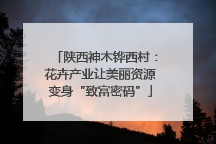 陕西神木铧西村：花卉产业让美丽资源变身“致富密码”