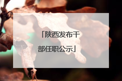 陕西发布干部任职公示
