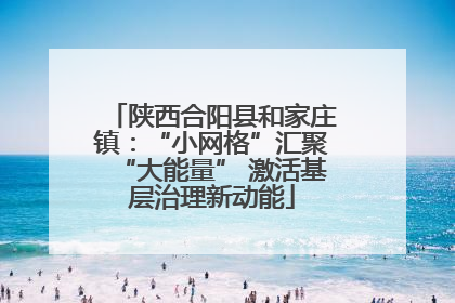 陕西合阳县和家庄镇：“小网格”汇聚“大能量” 激活基层治理新动能