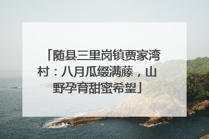 随县三里岗镇贾家湾村：八月瓜缀满藤，山野孕育甜蜜希望
