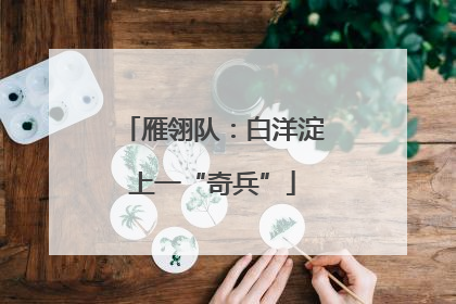雁翎队：白洋淀上一“奇兵”
