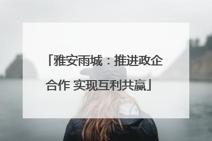 雅安雨城：推进政企合作 实现互利共赢