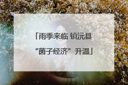 雨季来临 镇沅县“菌子经济”升温