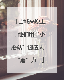 雪域高原上，他们用“小蘑菇”创造大“蘑”力！