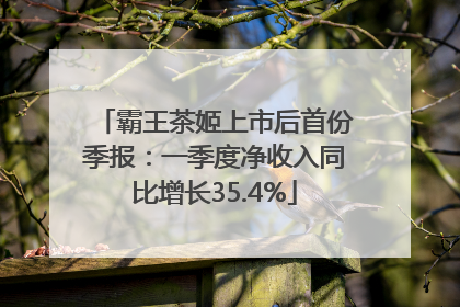 霸王茶姬上市后首份季报：一季度净收入同比增长35.4%