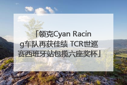 领克Cyan Racing车队再获佳绩 TCR世巡赛西班牙站包揽六座奖杯