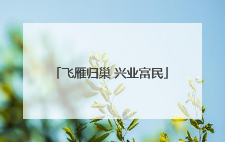 飞雁归巢 兴业富民