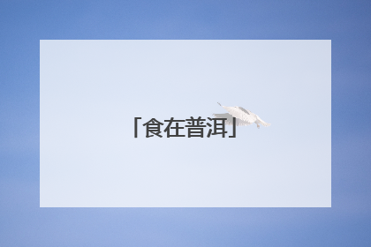 食在普洱