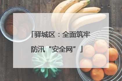 驿城区：全面筑牢防汛“安全网”