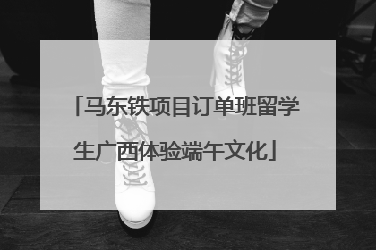 马东铁项目订单班留学生广西体验端午文化