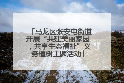 马龙区张安屯街道开展“共建美丽家园，共享生态福祉”义务植树主题活动