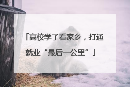 高校学子看家乡，打通就业“最后一公里”