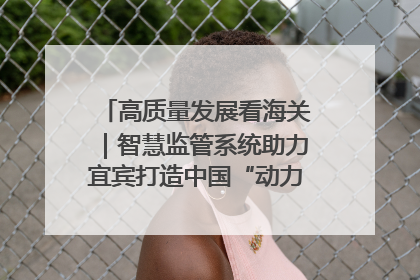 高质量发展看海关｜智慧监管系统助力宜宾打造中国“动力电池之都”