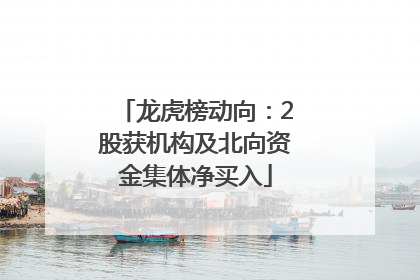 龙虎榜动向：2股获机构及北向资金集体净买入