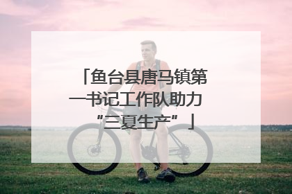 鱼台县唐马镇第一书记工作队助力“三夏生产”