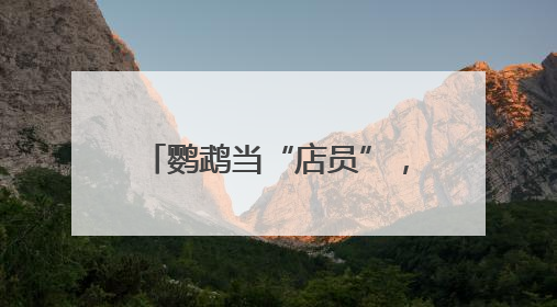 鹦鹉当“店员”，有时会“吃醋”！“鸟咖”火出圈