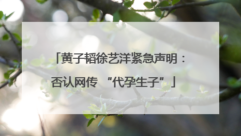 黄子韬徐艺洋紧急声明：否认网传 “代孕生子”