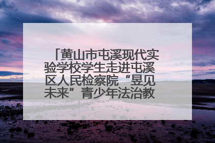 黄山市屯溪现代实验学校学生走进屯溪区人民检察院“昱见未来”青少年法治教育宣传基地