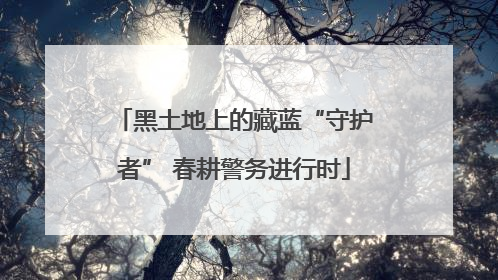 黑土地上的藏蓝“守护者” 春耕警务进行时