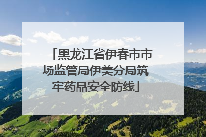 黑龙江省伊春市市场监管局伊美分局筑牢药品安全防线