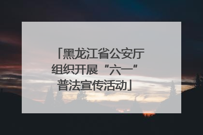 黑龙江省公安厅组织开展“六一”普法宣传活动