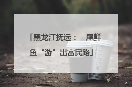 黑龙江抚远：一尾鲜鱼“游”出富民路
