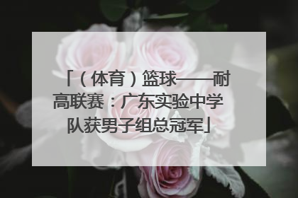 （体育）篮球——耐高联赛：广东实验中学队获男子组总冠军