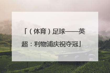 （体育）足球——英超：利物浦庆祝夺冠