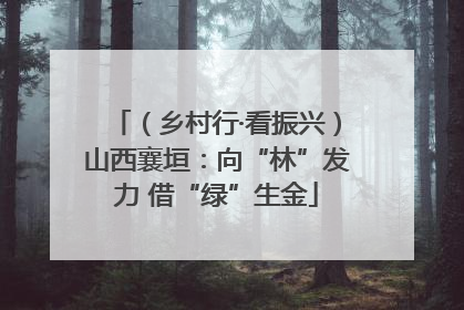 （乡村行·看振兴）山西襄垣：向“林”发力 借“绿”生金