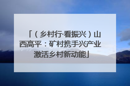 （乡村行·看振兴）山西高平：矿村携手兴产业 激活乡村新动能