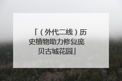 （外代二线）历史植物助力修复庞贝古城花园