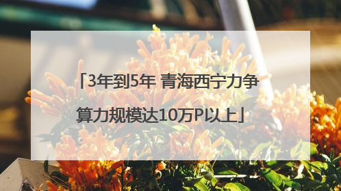 3年到5年 青海西宁力争算力规模达10万P以上