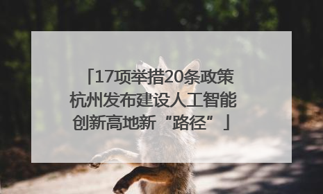 17项举措20条政策 杭州发布建设人工智能创新高地新“路径”