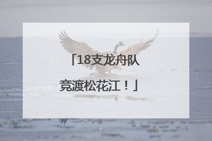 18支龙舟队竞渡松花江！