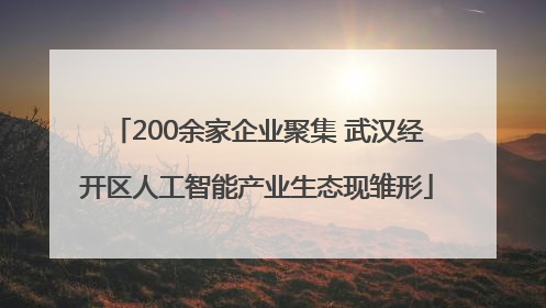 200余家企业聚集 武汉经开区人工智能产业生态现雏形