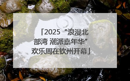 2025“浪漫北部湾 潮派嘉年华”欢乐周在钦州开幕