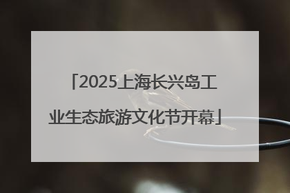 2025上海长兴岛工业生态旅游文化节开幕
