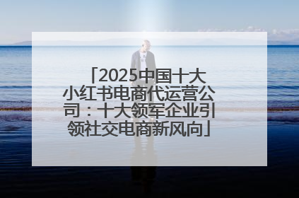 2025中国十大小红书电商代运营公司：十大领军企业引领社交电商新风向