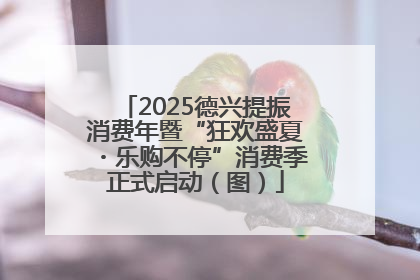 2025德兴提振消费年暨“狂欢盛夏・乐购不停”消费季正式启动（图）