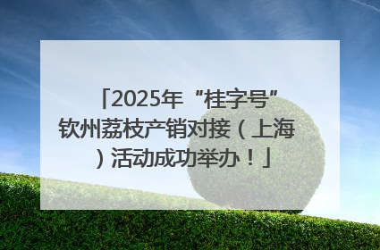 2025年“桂字号”钦州荔枝产销对接（上海）活动成功举办！