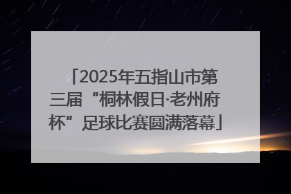 2025年五指山市第三届“桐林假日·老州府杯”足球比赛圆满落幕