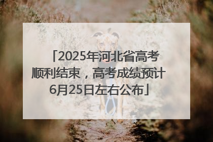 2025年河北省高考顺利结束，高考成绩预计6月25日左右公布