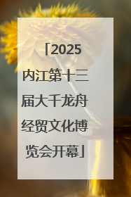 2025内江第十三届大千龙舟经贸文化博览会开幕