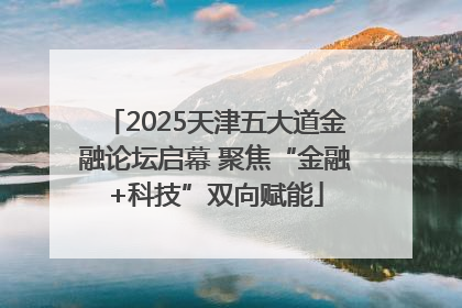 2025天津五大道金融论坛启幕 聚焦“金融+科技”双向赋能