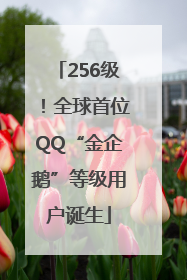 256级！全球首位QQ“金企鹅”等级用户诞生