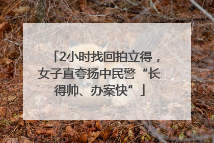 2小时找回拍立得，女子直夸扬中民警“长得帅、办案快”