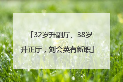 32岁升副厅、38岁升正厅，刘会英有新职